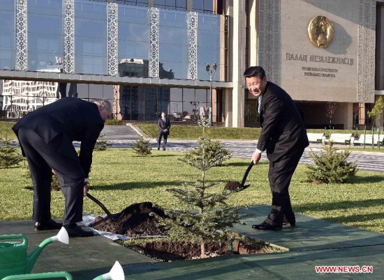 Chinese President Xi Jinping (R) and Belarusian President Alexander Lukashenko plant a dragon spruce tree symbolizing the friendship between the two nations, in Minsk, capital of Belarus, May 10, 2015. (Xinhua/Li Tao)