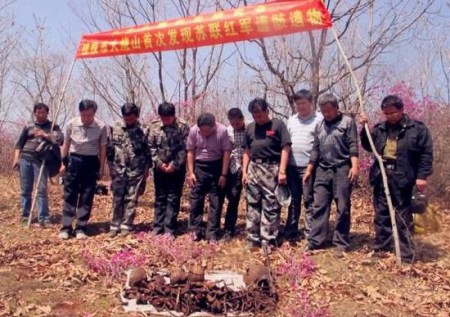 Russian WWII soldiers' remains found in Heilongjiang