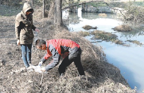 Volunteers for an environmental NGO collect water samples for testing near a factory in Huainan, Anhui province, in November. (Guo Chen/Xinhua)