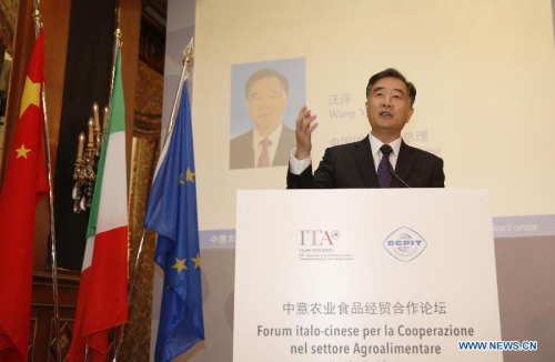 Visiting Chinese Vice Premier Wang Yang delivers a speech during the forum on China-Italy agriculture cooperation, in Milan, Italy, on June 9, 2015. (Xinhua/Ye Pingfan)