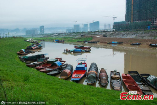 Photo taken on April 5, 2015 shows the recent heavy rainfall has turned the previously dried-up Poyang Lake in Jiujiang, East China's Jiangxi province into grassland. (Photo/CFP)