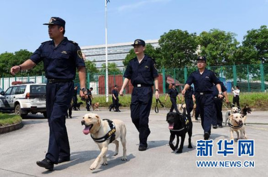 Photo taken on June 15 shows sniffer dogs in Guangzhou. (Photo/Xinhua)