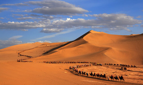 Camel caravans in the heart of a desert in Gansu province. The Discovering the Beauty of Silk Road project invites photographers to explore the landscape of western China. (Photo by Hu You/China Daily)