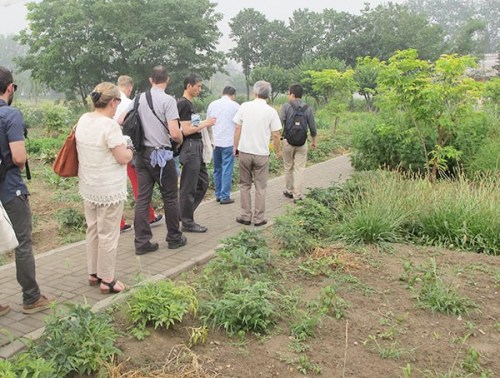 TCM practioners from overseas visit the TCM museum in a Beijing hospital and a medicinal plant garden in Beijing. Photo provided to chinadaily.com.cn