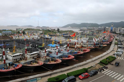 Fishing boats anchor in a port in Daishan county, Zhejiang province, on Friday, to shelter from Typhoon Chan-Hom, which is predicted to make landfall on Saturday. (Photo by Shen Lei/China Daily)