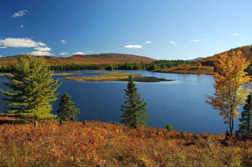 Fall view of Brandon Park. This paradise in up state New York has 11.2 km of pristine rivers.(Provided to China Daily)
