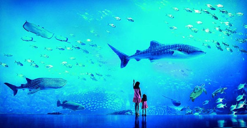 Guangdong-based Chimelong Group will reduce ticket prices by 20 percent in late August. Photo provided to chinadaily.com.cn