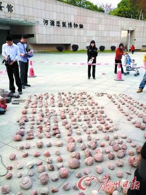 Fossilized dinosaur eggs seized by police.(Photo/Guangzhou Daily)