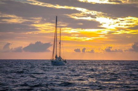 (Photo/Zhai Mo's Sina Blog)