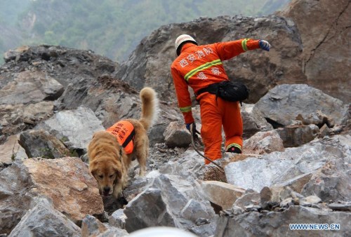 A rescuer searches for survivors at the site of a landslide in Shanyang County of northwest China's Shaanxi Province, Aug. 12, 2015. Rescuers have dug out four people but more than 60 remain missing after a landslide buried the living quarters of a mining company in Shaanxi Province, northwest China, early Wednesday. More than 700 police, firefighters, mining rescuers and paramedics are at the scene. (Xinhua)