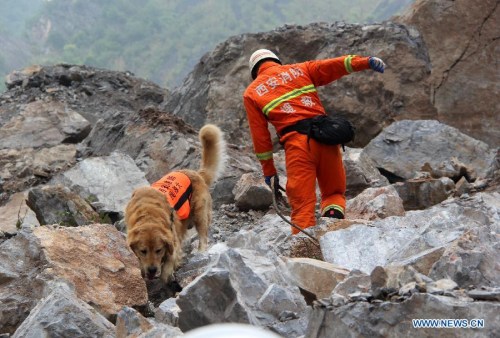 A rescuer searches for survivors at the site of a landslide in Shanyang County of northwest China's Shaanxi Province, Aug. 12, 2015. Rescuers have dug out four people but more than 60 remain missing after a landslide buried the living quarters of a mining company in Shaanxi Province, northwest China, early Wednesday. More than 700 police, firefighters, mining rescuers and paramedics are at the scene. (Xinhua)