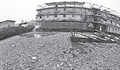 Water hyacinth occupies a large area of the Wuhan section of the Hanjiang River in Hubei province on Thursday. Li Ziyun/for China Daily