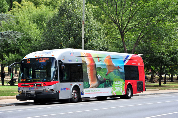 Buses in Washington were painted with Chinese wildlife before President Xi's visit. HE XIAOYAN FOR CHINA DAILY