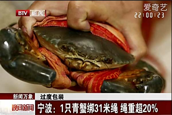 A video grab from Beijing TV shows a crab tied with a 31-meter string.