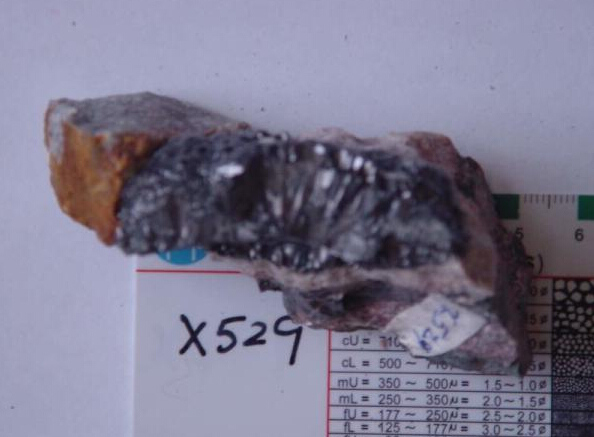 A piece of ore containing metallic uranium. (photo by chief scientist Li Ziying)