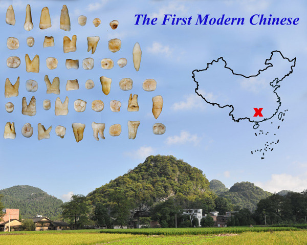 Some of the 47 human teeth discovered in a cave in Hunan province. (Photo/China Daily)