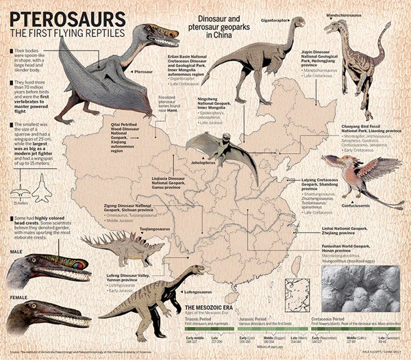 PTEROSAURS THE FIRST FLYING REPTILES [KYLE ALCOTT/CHINA DAILY]