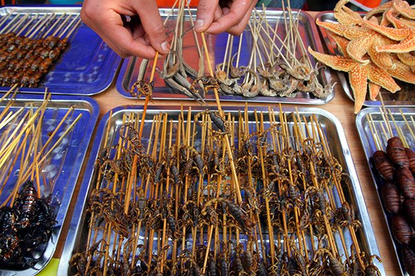 A street vendor in Nanjing, Jiangsu province, sells various fried insects.(Photo provided to China Daily)