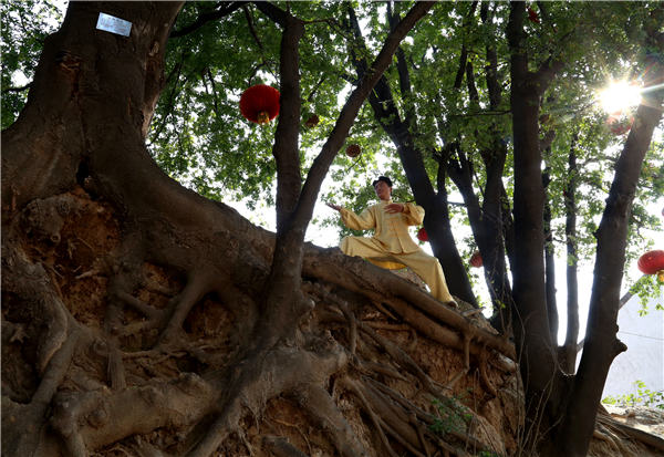 A tai chi devotee exercises under an ancient honey locust tree in the village on Nov 1. Xu Hongxing / for China Daily