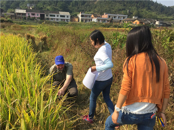 Vladimir Matychenkov researches paddy with his Chinese colleagues in Changsha, Hunan province.