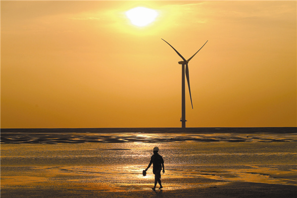 A wind farm at Rudong in Jiangsu province. China's installed wind power capacity had reached almost 63 million kilowatts by the end of 2012. (Photo by Xu Congjun / for China Daily)