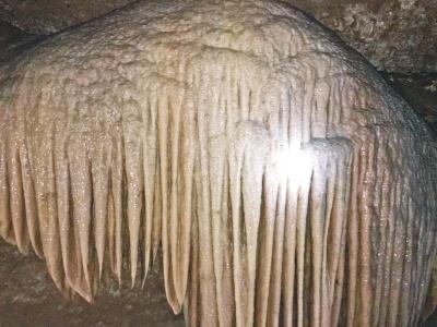 stalagmites inside the cave (Photo/Dahe Daily)