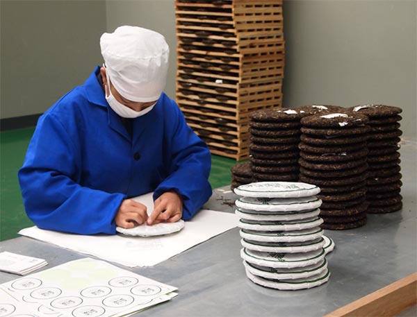 A worker packs Pu'er tea in a factory of Yunnan Chazu Tea Co. Ltd in Pu'er, Nov 8, 2015. (Photo by Liu Xiaozhuo/chinadaily.com.cn)