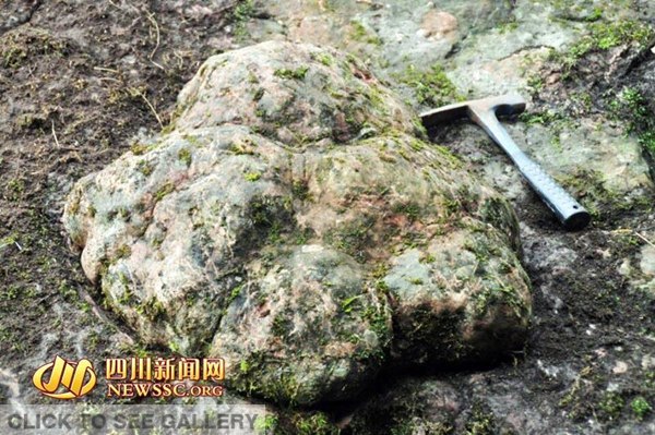 A giant dinosaur footprint is seen in SW China's Sichuan province. With a diameter of 60cm and a depth of 20cm, it is among 70 footprints found by researchers from the China University of Geosciences at three spots in Guhua village, Gulin county. (Photo/Newssc.org)