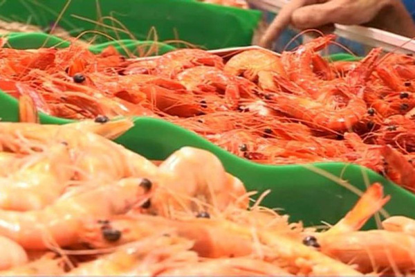 The Sydney Fish Market expects to sell 130 tonnes of prawns in the lead up to Christmas. (Photo/ABC News)