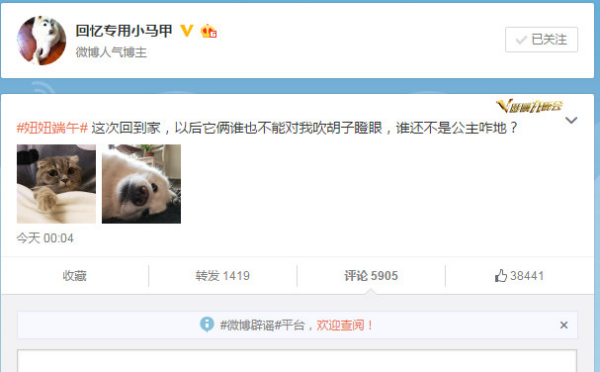 Famous Micro-blogger "Huiyi Zhuanyong Xiaomajia" gets more than 5900 comments for a single tweet about his cat and dog. 