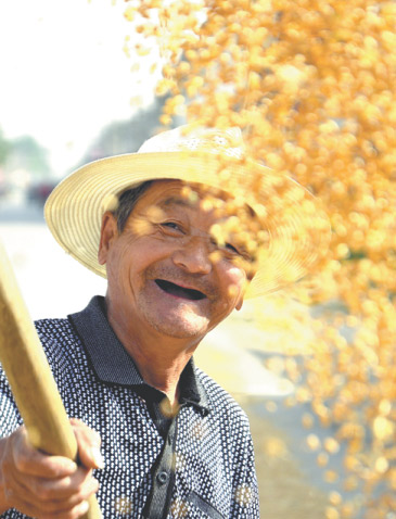 A farmer sunbakes his wheat harvest in Liaocheng, Shandong province.(Photo/China Daily)