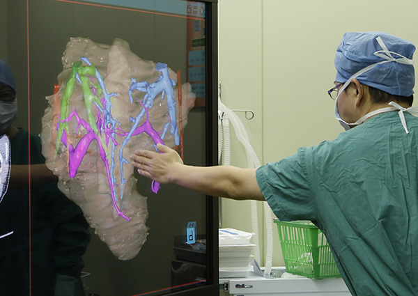 A doctors studies an image on the computer-assisted 3-dimensional system. (Photo/provided to chinadaily.com.cn)