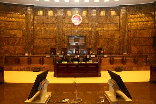 The Supreme People's Court holds a public hearing over the environmental public interest case on the afternoon of Jan 21, 2016. Photo provided by the Supreme People's Court