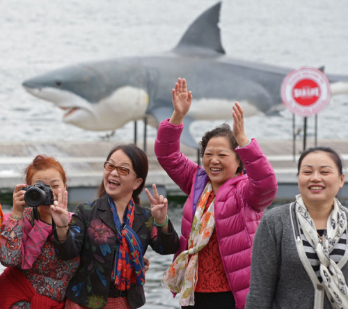 Chinese tourists pose for photographs in front of a 7.4-meter-long great white shark replica in Sydney Harbour in Nov, 2014. (Photo by Greg Wood/for China Daily)