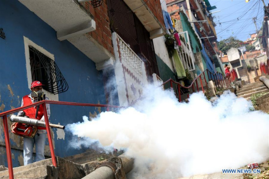 A health employee takes part in a spraying day against the Aedes Aegypty mosquito in El Valle in Caracas, capital of Venezuela, Jan. 28, 2016. (Photo: Xinhua/Fausto Torrealba/AVN)