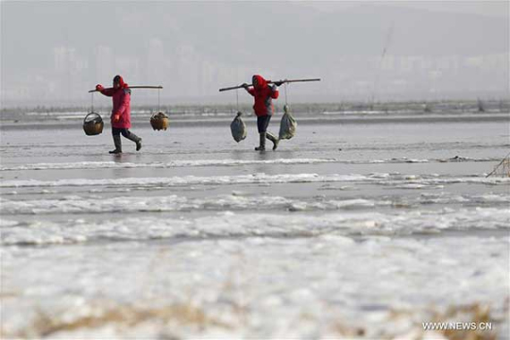 Local fishermen walk on the frozen sea in Lianyungang, East China's Jiangsu province, Jan 19, 2016. (Photo/Xinhua)