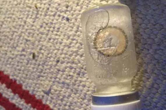 A cosmetic lens purchased online is frozen. (Photo/weibo.com)