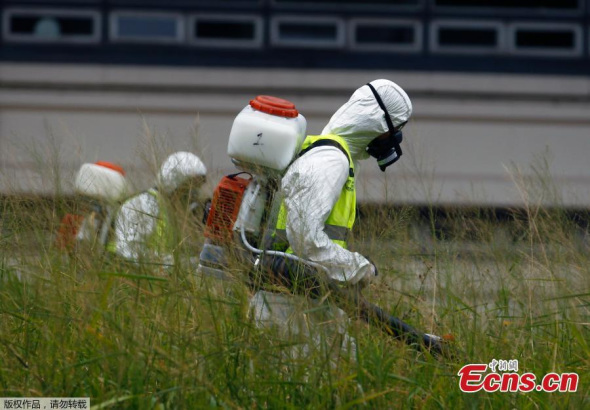 Workers carry out fumigation in Buenos Aires, Argentina January 29, 2016.(Photo/Agencies)