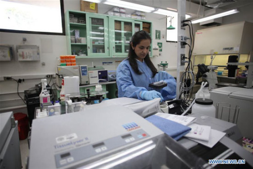 A researcher in Gorgas Commemorative Institute of Health Studies (ICGES), responsible for diagnostic Zika cases in Panama, makes tests at a laboratory of the institute, in Panama City, capital of Panama, on Feb. 3, 2016. (Photo/Xinhua)