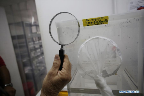 A researcher in Gorgas Commemorative Institute of Health Studies (ICGES), responsible for diagnostic Zika cases in Panama, makes tests at a laboratory of the institute, in Panama City, capital of Panama, on Feb. 3, 2016. (Photo: Xinhua/Mauricio Valenzuela)