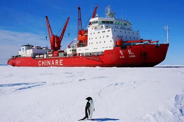 A penguin is seen in front of Chinese icebreaker Xuelong, or Snow Dragon, docked at an ice cover area of the South Pole. The icebreaker is on China's 31st scientific expedition to Antarctica. (Photo from official Weibo of CCTV)
