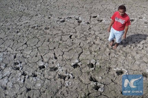 A farmer walks on the dried soil of a rice field in Tarlac Province, the Philippines, Feb. 3, 2016. The Philippine National Water Resources Board (NWRB) assured the water supply in Manila as the Philippine Atmospheric Geophysical and Astronomical Services Administration (PAGASA) kept its forecast that a strong El Nino is likely to continue until the second quarter of the year. (Photo: Xinhua/Rouelle Umali)