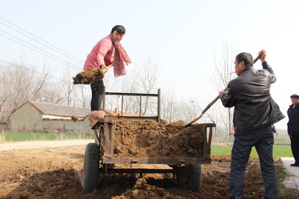 Zhu Yingqin and her husband Cui Liangjun work to level an open space behind their house in Hegang village, Changfeng county, Anhui province.(Photo by Zhu Lixin/China Daily)