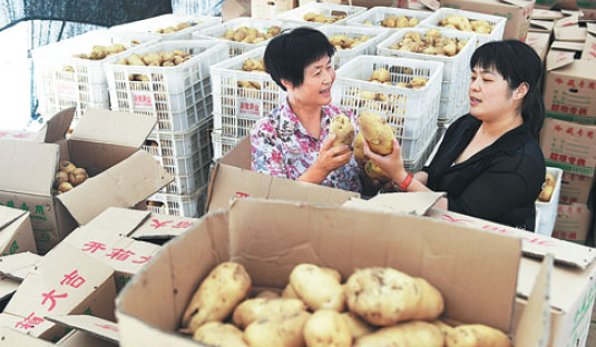 A potato merchant (right) checks produce in Zouping county, Shandong province, in July. Dong Naide / For China Daily