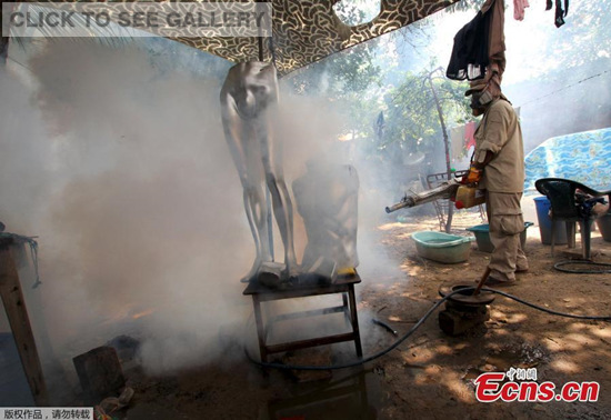 A worker fumigates the Plan 3000 District as a preventive measure against the Zika virus and other mosquito-borne diseases in Santa Cruz, Bolivia, January 29, 2016.(Photo/Agencies)
