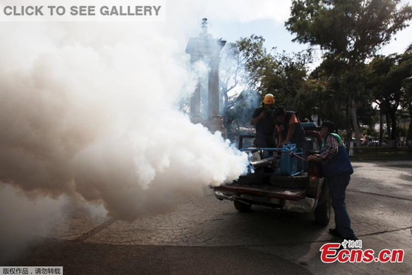 City workers fumigate a park as part of preventive measures against the Zika virus and other mosquito-borne diseases in Santa Tecla, El Salvador January 29, 2016. (Photo/Agencies)