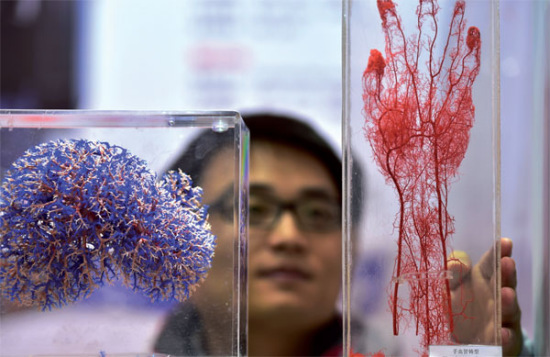 A staff displays 3D print soft tissues produced by a German high-tech company during the 2015 China Yiwu International Manufacturing Equipment Expo on Nov 30. (Photo/Xinhua)