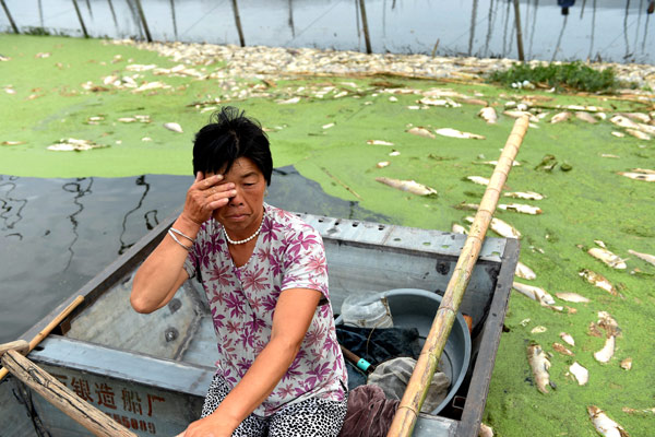 A fisherman's wife wipes away tears on a boat on Tuohu Lake in Wuhe county, Anhui province, as thousands of fish killed by pollution float on the surface of the water. (Photo/Xinhua)
