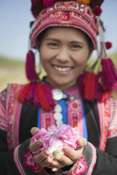 A woman from the Yi ethnic group wears traditional costume to collect roses in a garden belonging to Mythic Flora, a fragrance manufacturer in Yunnan province. (Photo provided to China Daily)