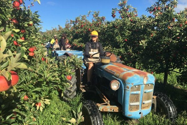 Backpackers say they will reconsider travel plans if the tax hike is implemented. (Photo: ABC News/Gordon Fuad) 